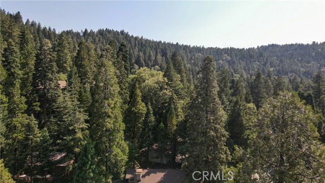 Detail Gallery Image 42 of 48 For 24941 Faulhorn Dr, Crestline,  CA 92325 - 3 Beds | 1/1 Baths