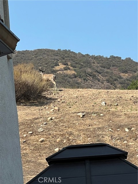 1291 Vintage Oak Street, Simi Valley CA: https://media.crmls.org/medias/407ca8ec-85b5-498d-bb62-9c3fa9f6bb4c.jpg