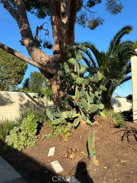 Detail Gallery Image 21 of 25 For 2091 Ronda Granada #D,  Laguna Woods,  CA 92637 - 3 Beds | 2 Baths