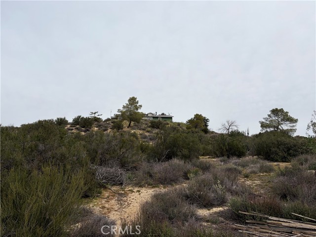 Detail Gallery Image 50 of 73 For 61200 Indian Paint Brush Rd, Anza,  CA 92539 - 5 Beds | 4 Baths