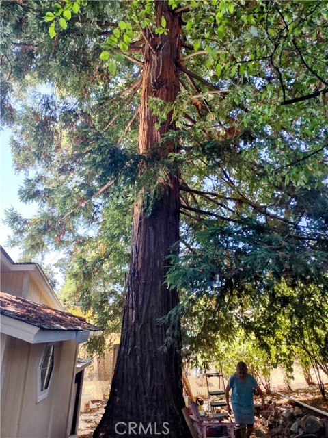 600 6th Street, Lakeport CA: https://media.crmls.org/medias/40907e07-dfa2-43c6-a856-6a2b5ed39e55.jpg