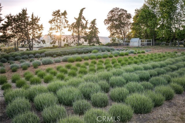 Detail Gallery Image 37 of 65 For 1160 Easy Ln, Nipomo,  CA 93444 - 7 Beds | 6/1 Baths