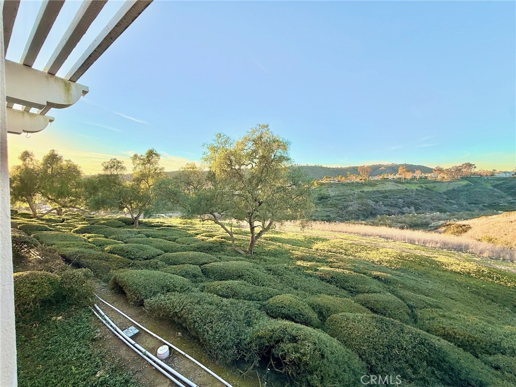 MLS #OC25274797 image #11