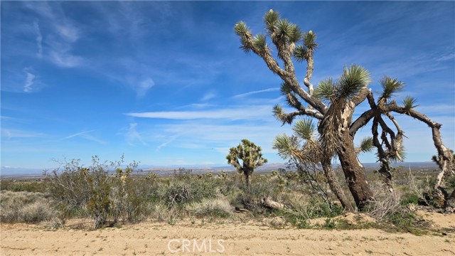 Detail Gallery Image 17 of 50 For 0 Fort Tejon Rd Vicinity 181st St E, Llano,  CA 93544 - – Beds | – Baths