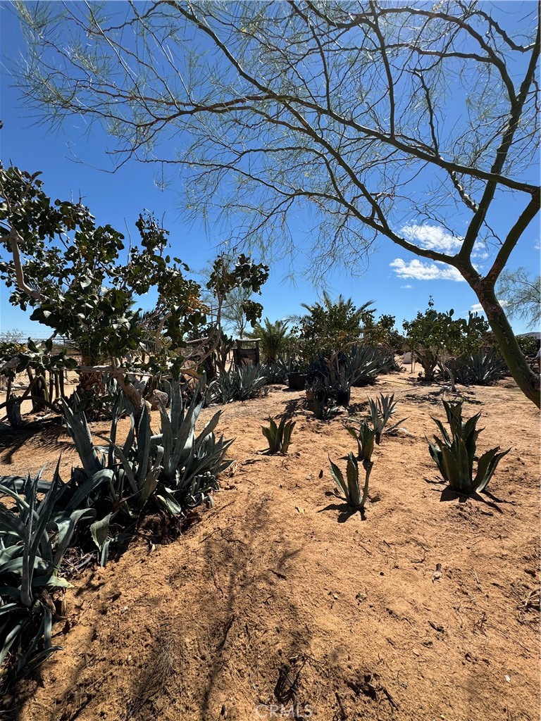 MLS #CV25225027 image #6