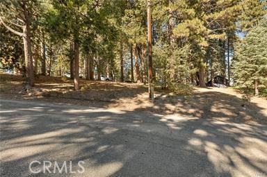 Front Image Thumbnail for CRIG26162946