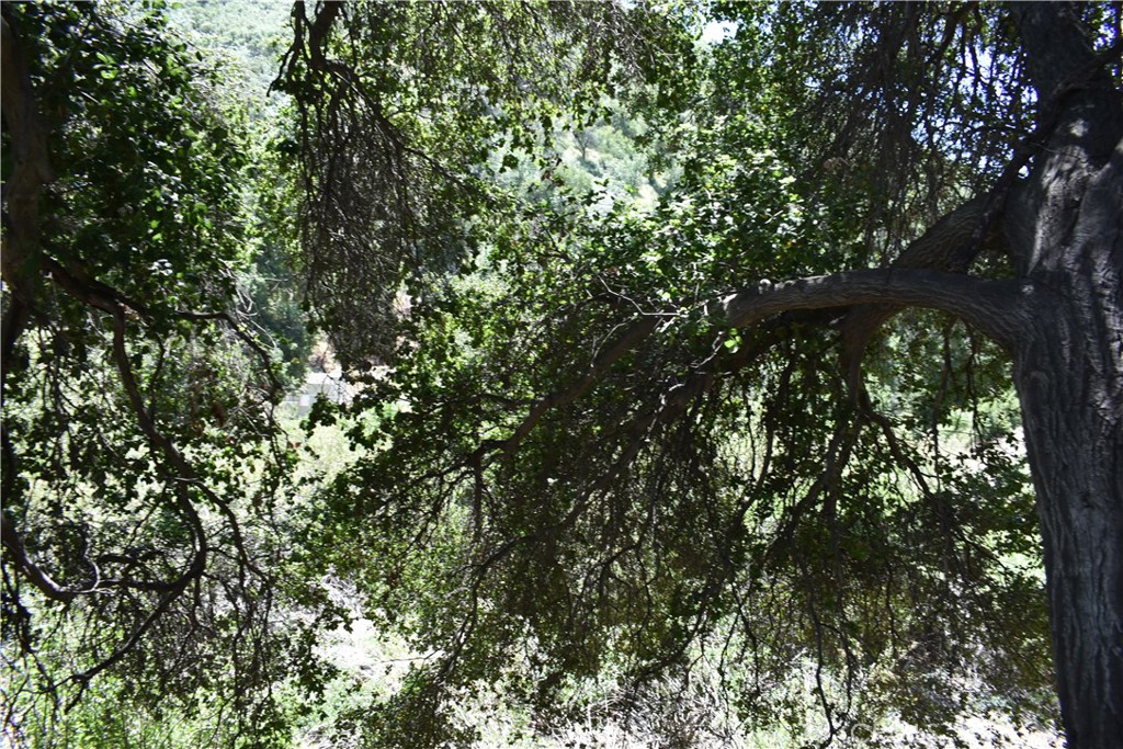 MLS #HD25051670 image #9