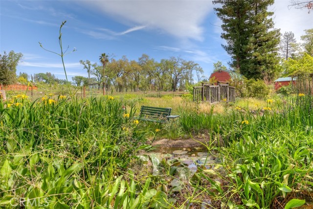 Detail Gallery Image 55 of 72 For 489 Sunburst Dr, Paradise,  CA 95969 - 3 Beds | 3/1 Baths