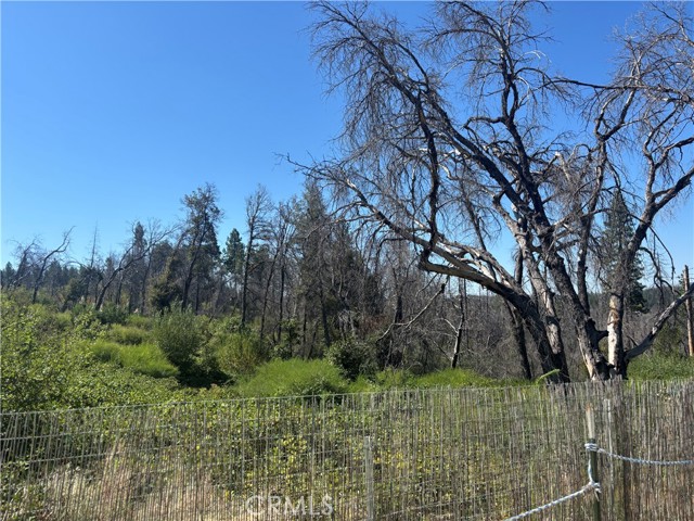 Detail Gallery Image 20 of 21 For 1996 Bald Rock Rd, Berry Creek,  CA 95916 - – Beds | – Baths