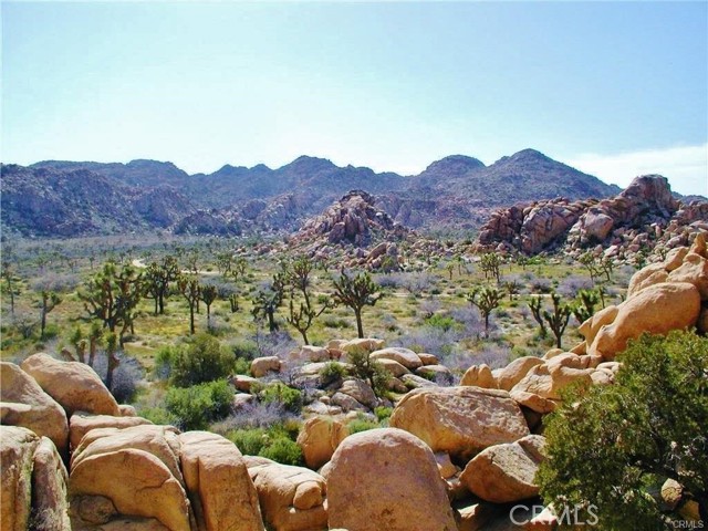 Detail Gallery Image 5 of 5 For 61936 El Reposo Cir, Joshua Tree,  CA 92252 - – Beds | – Baths