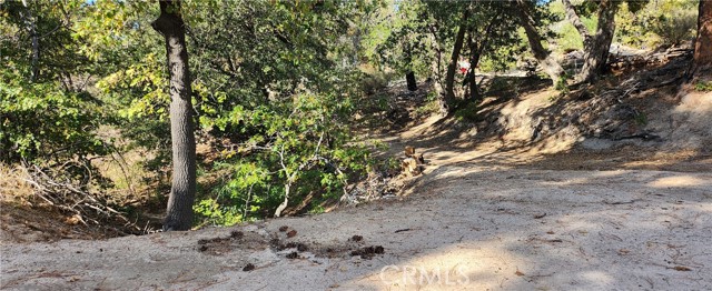 0 TRAILS END Road, Green Valley Lake, California 92341, ,Land,For Sale,0 TRAILS END Road,CRRW22222974