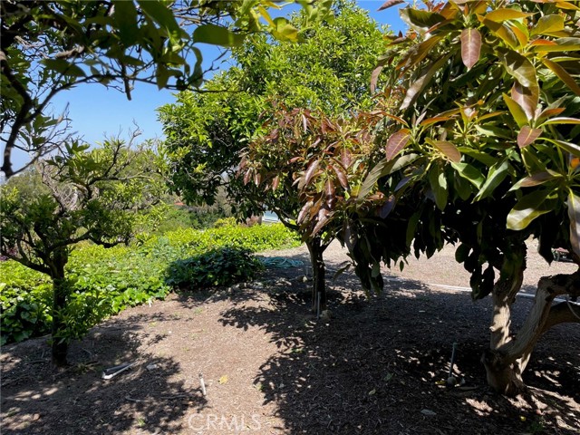 27965 Palos Verdes Drive, Rancho Palos Verdes, California 90275, 3 Bedrooms Bedrooms, ,3 BathroomsBathrooms,Residential,Sold,Palos Verdes,PV24094964