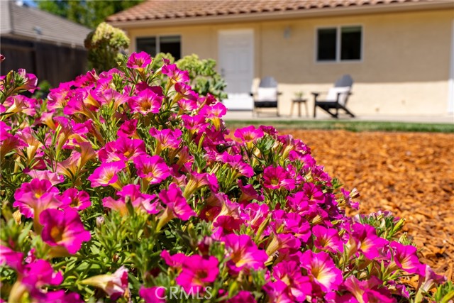 838 Sycamore Canyon Road, Paso Robles CA: https://media.crmls.org/medias/40bbd470-740c-4b9b-a15b-4fe038afbbf9.jpg