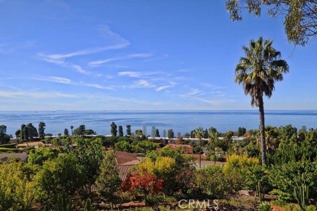 Panoramic Ocean View