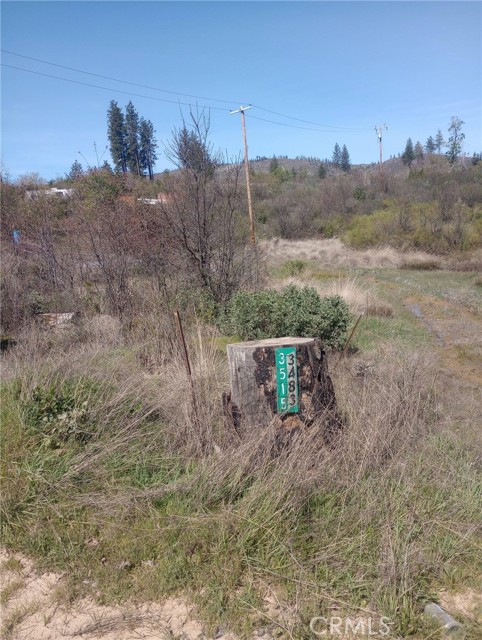 Detail Gallery Image 16 of 27 For 3515 Hoffman, Oroville,  CA 95965 - – Beds | – Baths