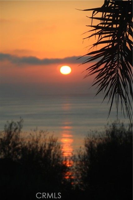 View from front balcony