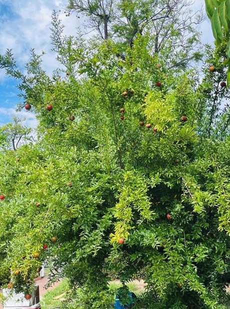 https://media.crmls.org/medias/40c5a433-d4af-484d-affb-569739053041.jpg?preset=X-Large