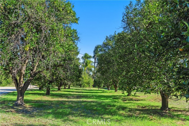 Detail Gallery Image 35 of 39 For 1195 Pamplona, Riverside,  CA 92508 - 4 Beds | 3/1 Baths
