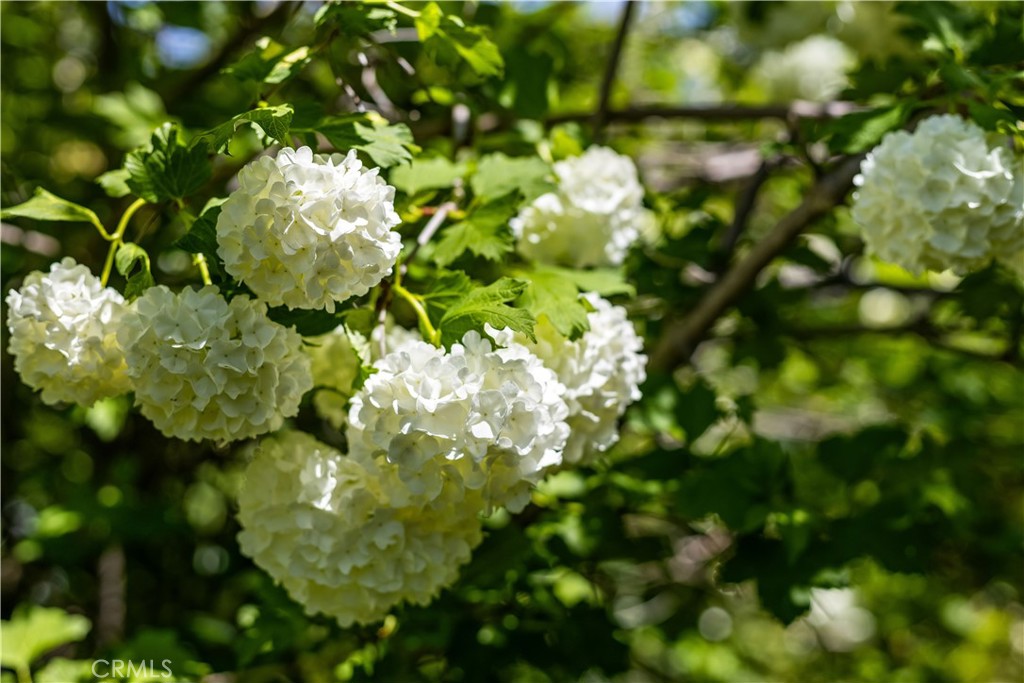 https://media.crmls.org/medias/40ccb1fc-198a-48e2-89e6-972c8ec4f46b.jpg?preset=X-Large