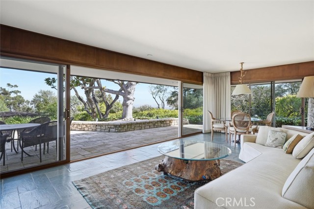 Image 17 of 66 For 100 Saddleback