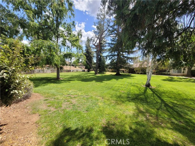 13680 Cottonwood Trail, Yucaipa CA: https://media.crmls.org/medias/40d14c8b-e043-4d6c-89fb-e4df2f8c8030.jpg