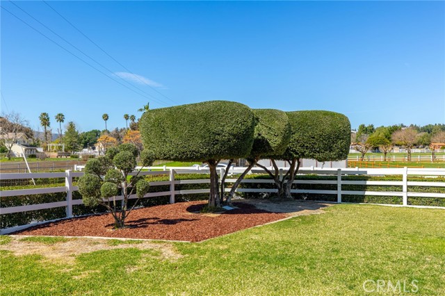 43991 John Warner Road, Temecula CA: https://media.crmls.org/medias/40d1cea5-2665-415f-90bd-1b8871e8e260.jpg