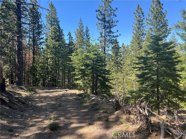 18727 Skyway, Stirling City CA: https://media.crmls.org/medias/40d45bea-ea03-48a2-8773-cb581ce0c053.jpg