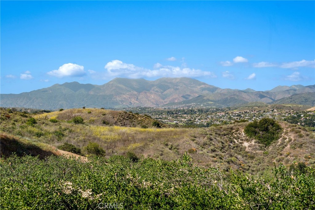 https://media.crmls.org/medias/40d638e2-9344-4833-bc20-33af012689cb.jpg?preset=X-Large