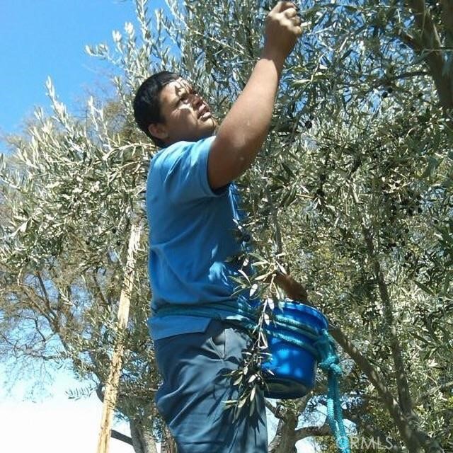 MLS #NS25280666 image #17