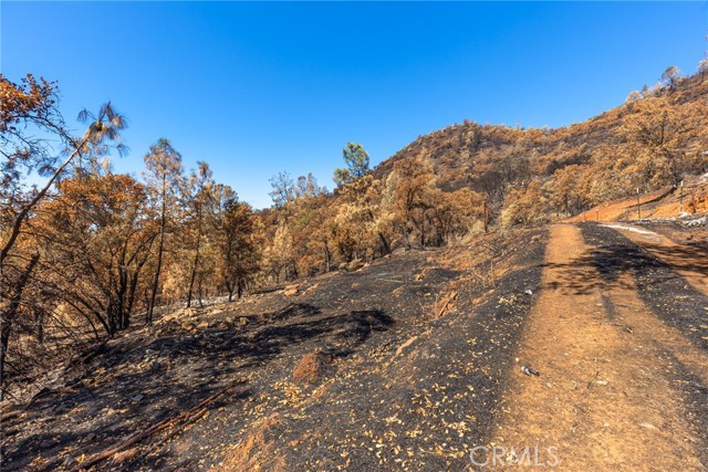 Detail Gallery Image 8 of 16 For 79 Oregon Gulch Road, Oroville,  CA 95965 - – Beds | – Baths