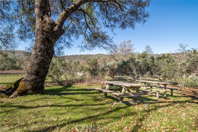 Detail Gallery Image 48 of 70 For 4683 Morningstar Ln, Mariposa,  CA 95338 - – Beds | – Baths