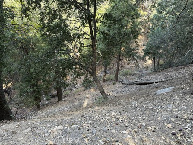 Detail Gallery Image 9 of 16 For 0 Mojave River Rd, Cedarpines Park,  CA 92322 - – Beds | – Baths