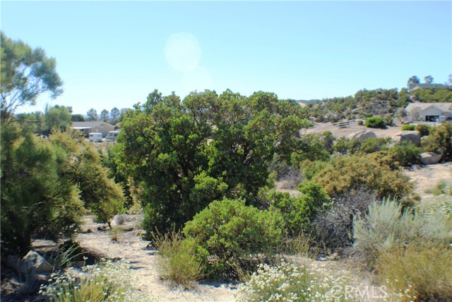 42560 Labrinia Lane, Anza, California 92539, ,Land,For Sale,42560 Labrinia Lane,CRSW22002848