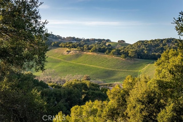 Image 7 of 46 For 8850 San Gregorio Road