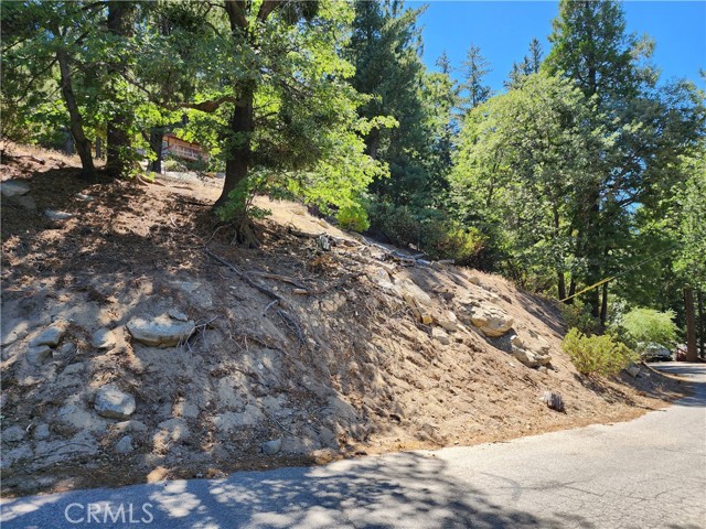 203 Canyon View Drive, Crestline, California 92325, ,Land,For Sale,203 Canyon View Drive,CRRW23202829