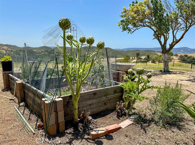 7491 Kingsbury Road, Templeton CA: https://media.crmls.org/medias/40ec66c6-bfa8-4470-ba59-677a50d87e20.jpg