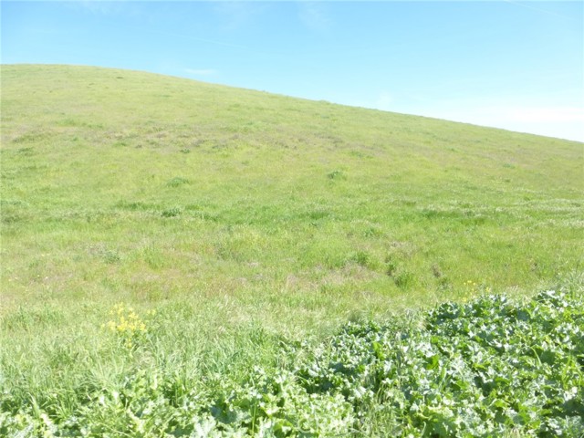 Detail Gallery Image 14 of 27 For 0 Douglas Rd. (Lot 41), San Miguel,  CA 93451 - – Beds | – Baths