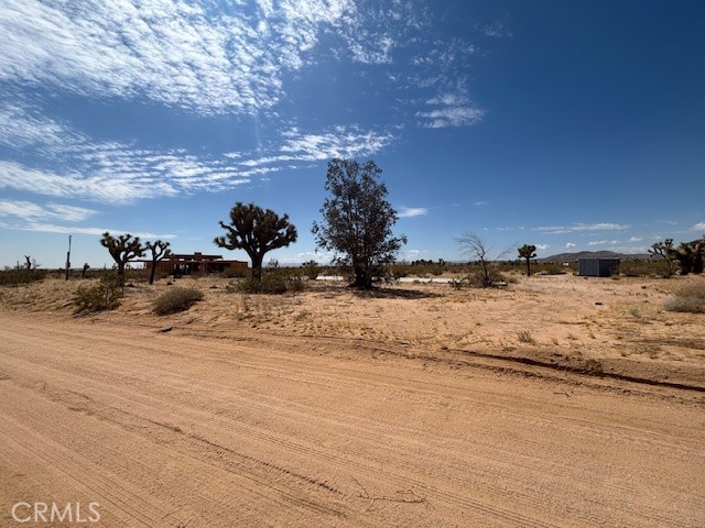 MLS #JT25102656 image #3