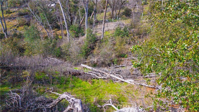 Detail Gallery Image 30 of 43 For 2320 Painted Pony Rd, Somerset,  CA 95684 - – Beds | – Baths