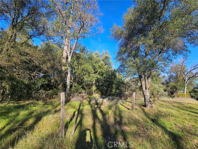 Detail Gallery Image 11 of 16 For 8 Ac Road 225, North Fork,  CA 93643 - – Beds | – Baths