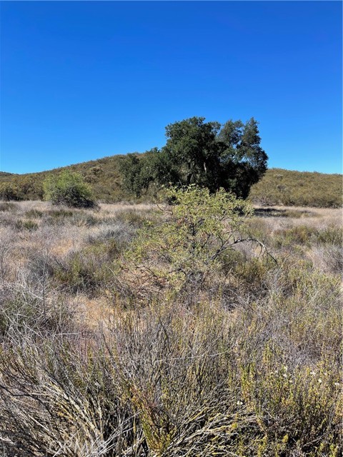 21 Stier, Hemet, CA, 92544 21 Stier, Hemet, CA, 92544