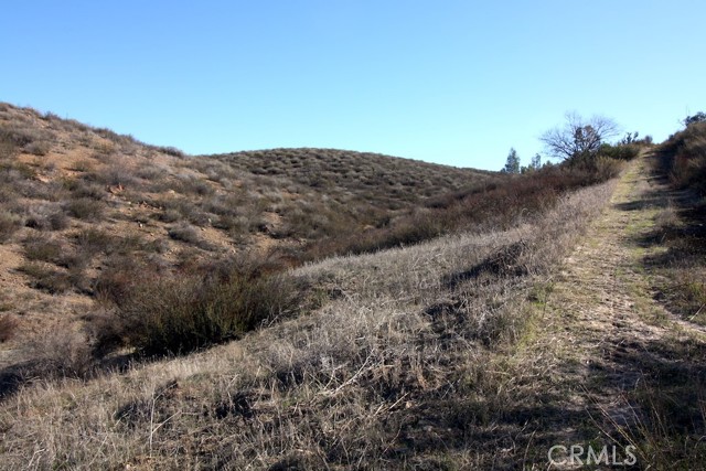 33687 N Sidney Circle, Winchester CA: https://media.crmls.org/medias/4103f96e-c7cd-4ec8-ab5b-7f2f4090ce08.jpg