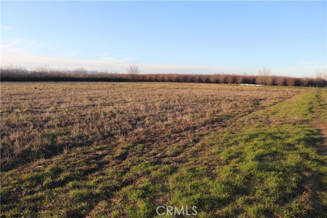 Detail Gallery Image 14 of 24 For 0 Road 31, Artois,  CA 95963 - – Beds | – Baths