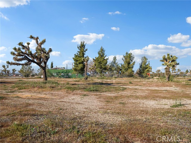 Detail Gallery Image 29 of 33 For 2826 Marco, Phelan,  CA 92371 - 4 Beds | 2/1 Baths