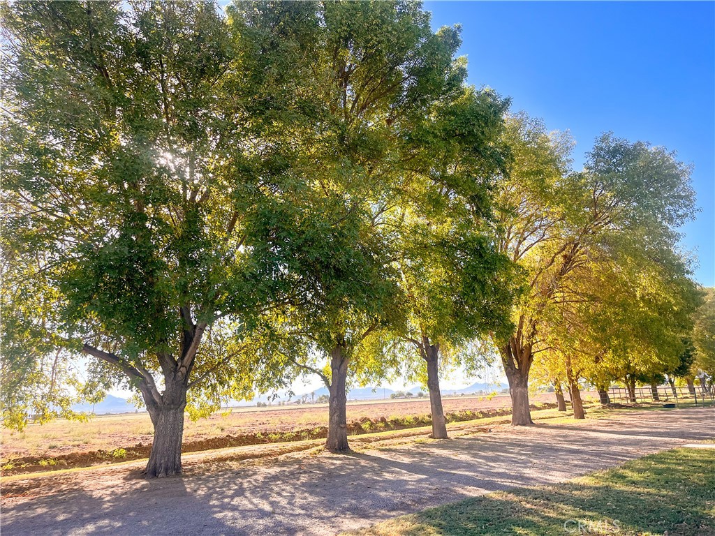 https://media.crmls.org/medias/4106183e-985a-40f2-866f-ec464f2d8230.jpg?preset=X-Large