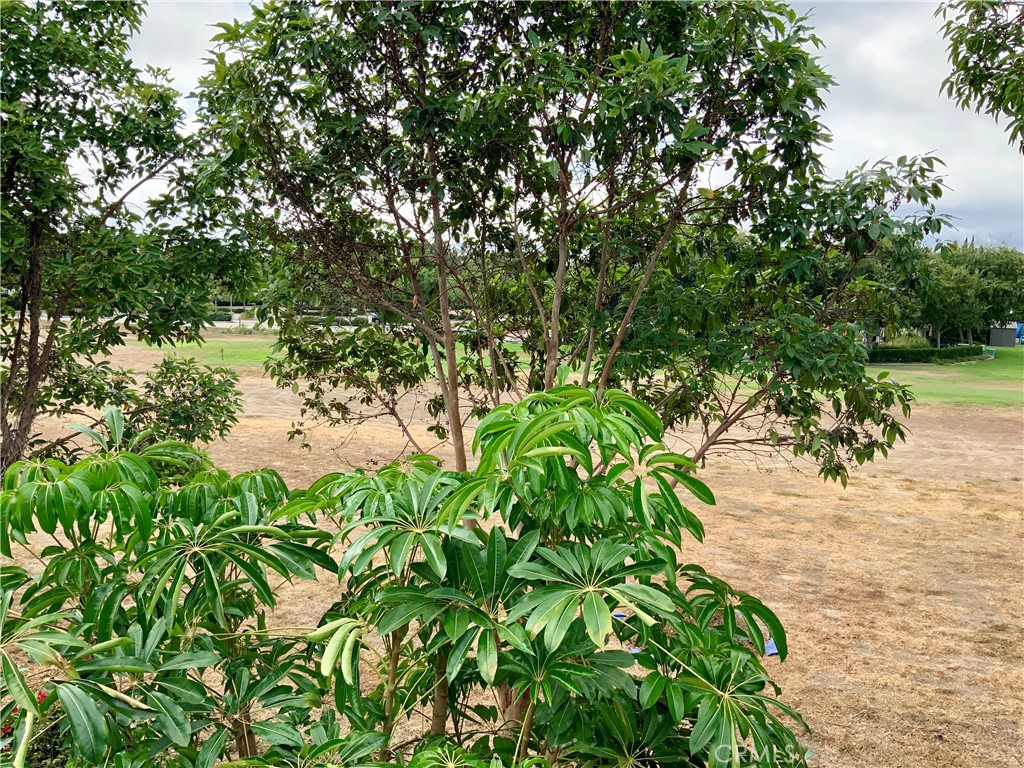 MLS #OC25268082 image #6