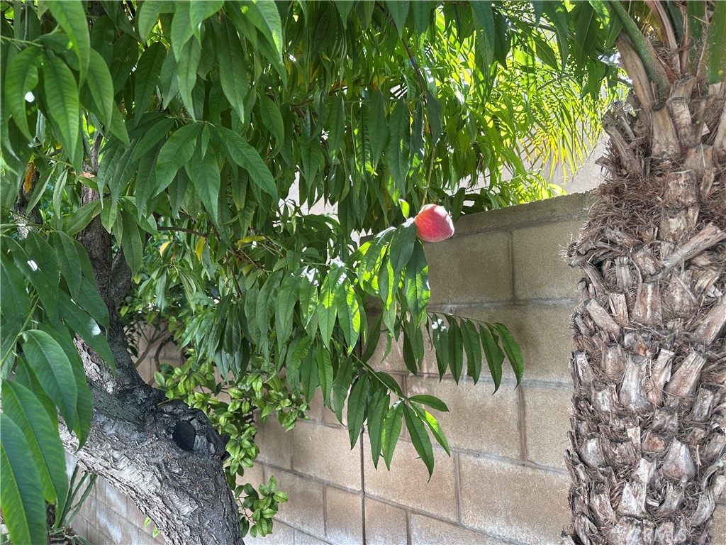 https://media.crmls.org/medias/410972f0-ac71-45ce-bda5-b47f245485c6.jpg?preset=X-Large