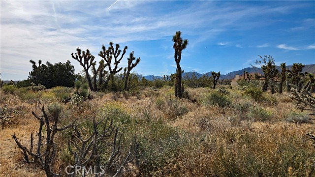 Detail Gallery Image 9 of 49 For 0 103rd St East Vicinity W14, –,  CA 93543 - – Beds | – Baths