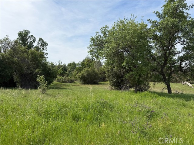 Detail Gallery Image 3 of 8 For 5 Acres Mountain Springs Rd, North Fork,  CA 93643 - – Beds | – Baths