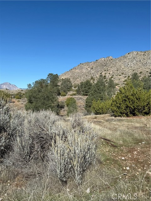 Detail Gallery Image 3 of 13 For 116 Parcel Map, Bodfish,  CA 93205 - – Beds | – Baths